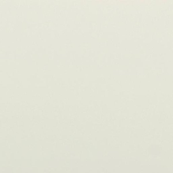 TOV Furniture Sarah 55" Cream Executive Work Desk - Elegant Design with Fluted Edging & Smart Storage Solutions TOV-H69351