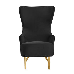 TOV Furniture Julia Velvet Wingback Chair - Sculptural Elegance Meets Comfort with Gold Accents for Your Space Black TOV-IHS44150
