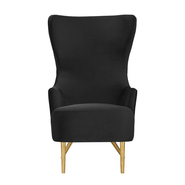 TOV Furniture Julia Velvet Wingback Chair - Sculptural Elegance Meets Comfort with Gold Accents for Your Space Black TOV-IHS44150
