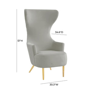 TOV Furniture Julia Velvet Wingback Accent Chair - Modern Glamour, Channel Tufted Back & Brushed Gold Legs Grey TOV-IHS68510