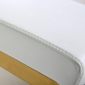 TOV Furniture Parma Contemporary Vegan Leather Counter Stools - Set of 2 with Gold Stainless Steel Frame White TOV-K3666