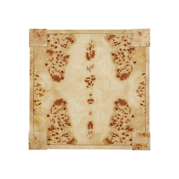 TOV Furniture Brandyss Burl End Table - Contemporary Side Table with Rustic Brass Accents for Modern Living Spaces Natural TOV-OC54191