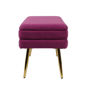 TOV Furniture Ziva Velvet Storage Bench with Plush Tufting and Gold Legs – Elegant, Functional Home Accent Piece Plum TOV-OC6464