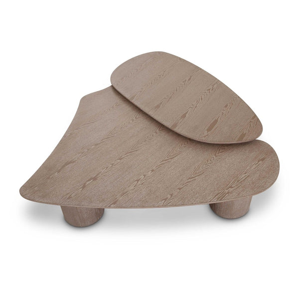 TOV Furniture Rhema 2-Piece Nesting Coffee Table Set - Modern Washed Ash Design with Tapered Edges & Versatility TOV-OC69083-84