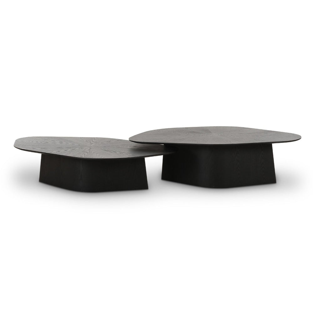TOV Furniture Roche 2-Piece Nesting Coffee Table Set - Modern Design with Versatile Use for Stylish Living Spaces Black TOV-OC69085-86