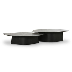 TOV Furniture Roche 2-Piece Nesting Coffee Table Set - Modern Design with Versatile Use for Stylish Living Spaces Black TOV-OC69085-86