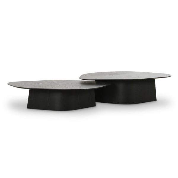 TOV Furniture Roche 2-Piece Nesting Coffee Table Set - Modern Design with Versatile Use for Stylish Living Spaces Black TOV-OC69085-86