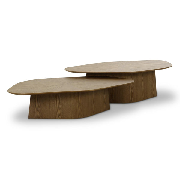 TOV Furniture Roche 2-Piece Nesting Coffee Table Set - Modern Design with Versatile Use for Stylish Living Spaces Brown TOV-OC69087-88