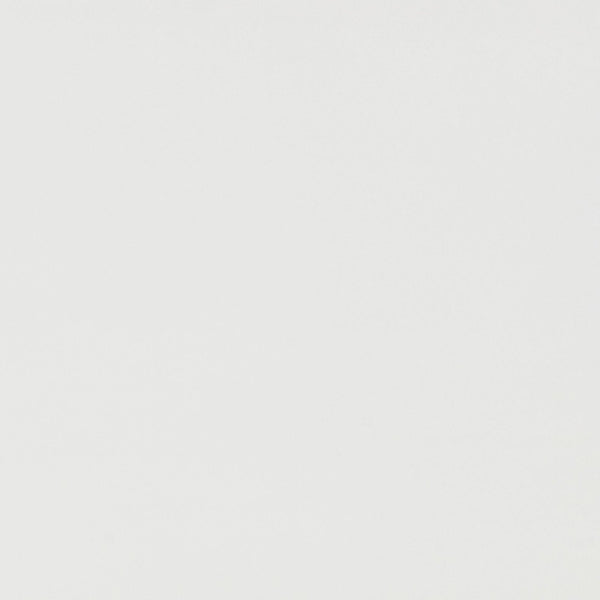 TOV Furniture Patty 48" Handwoven Rattan Console Desk with 2 Soft-Close Drawers for Stylish Home Organization White TOV-OC69364