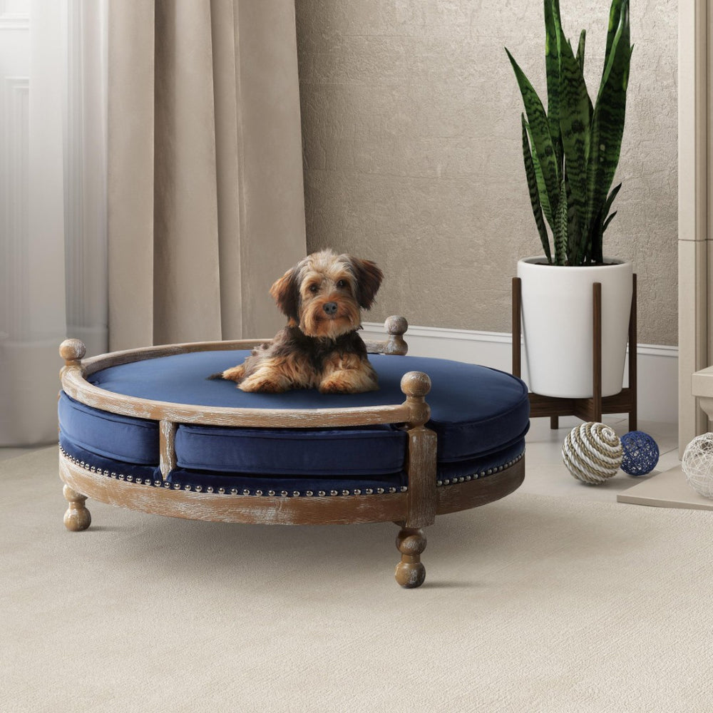 TOV Furniture Hound Navy Pet Bed - Stylish & Durable Dog Retreat with Plush Velvet Cushion, Handmade Oak Frame TOV-P2033-N