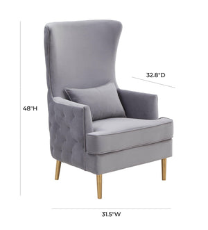 TOV Furniture Alina Wingback Accent Chair - Elegant Tufted Back Design with Plush Velvet and Gold-Finished Legs Grey TOV-S6478