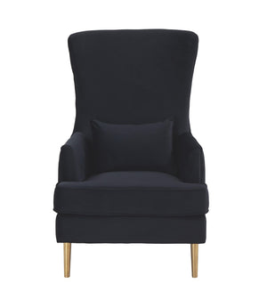 TOV Furniture Alina Wingback Accent Chair - Elegant Tufted Back Design with Plush Velvet and Gold-Finished Legs Black TOV-S6479
