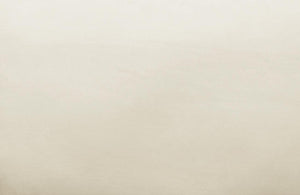 TOV Furniture Avery Velvet Accent Chair - Modern Luxury with Gold Legs, Plush Comfort for Any Stylish Space Cream TOV-S68199