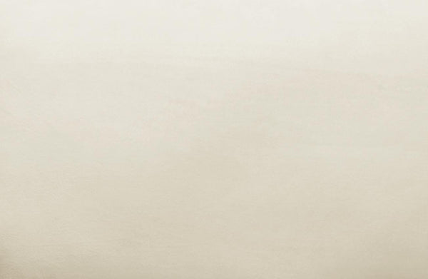 TOV Furniture Avery Velvet Accent Chair - Modern Luxury with Gold Legs, Plush Comfort for Any Stylish Space Cream TOV-S68199