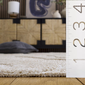 Safavieh Trends Power Loomed Solid Beige Ivory Runner Rug for Hallway or Kitchen Floor 8'-0" x 10'-0" TRD502B-8