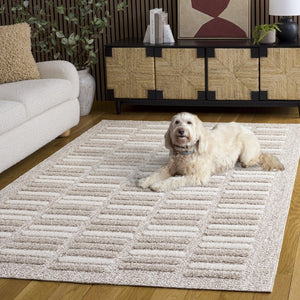 Safavieh Trends Power Loomed Solid Runner Rug in Taupe Ivory for Hallways and Entryways 6'-0" x 9'-0" TRD508E-6