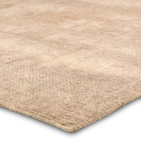 Jaipur Living Tesorino Vintage-Inspired Handcrafted Rug with Antique Medallion Design for Your Home