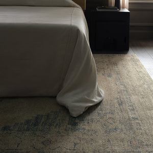 Jaipur Living Tesorino Vintage-Inspired Handcrafted Rug with Antique Medallion Design for Your Home