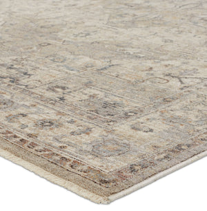 Jaipur Living Terra Starling Trr18 Powerloomed Machinemade 100% Polyester Traditional Medallion Indoor Rug Tan, Gray 100% Polyester Rug155019