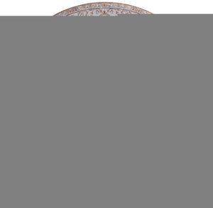 Safavieh Tucson Vintage Persian Area Rug - Elegant Power-loomed Design, Washable & Slip-resistant Safety Light Grey ,Rust Polyester Pile Tsn105f-10sq