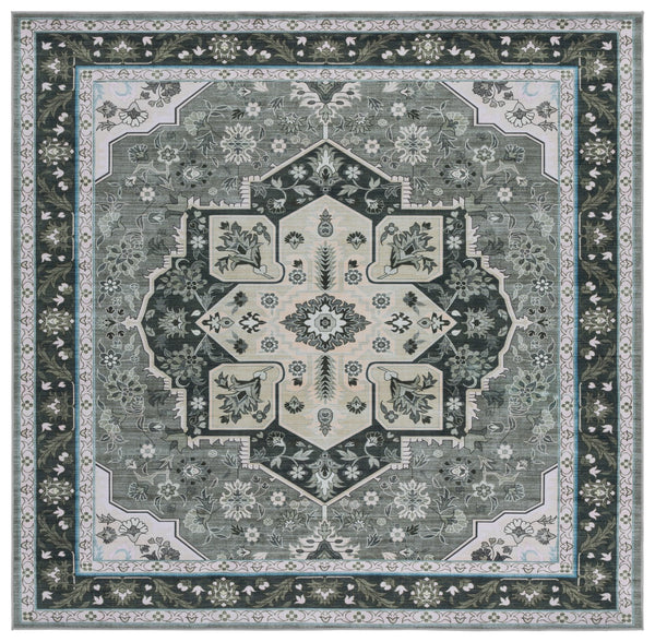 Safavieh Tucson Traditional Oval Area Rug – Elegant Design, Machine Washable, Slip Resistant For Any Room Green ,Light Green Polyester Pile Tsn118y-6sq