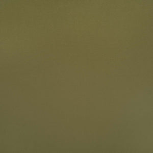 DUMBO 63" TV Stand in Olive Green TV001-OG Manhattan Comfort