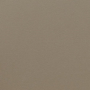 Manhattan Comfort Courding Modern Dining Chair Tan and Walnut DC009-TN