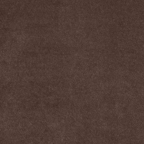 Meridian Furniture Tempo Velvet Twin Upholstered Bed with Sculptural Curved Headboard and Contrast Piping Detail Brown TempoBrown-T