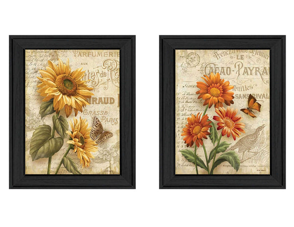 English Elm "flowers Collection" Ed Wargo 2 Panel Botanical Framed Canvas Art for Modern Walls B06786798
