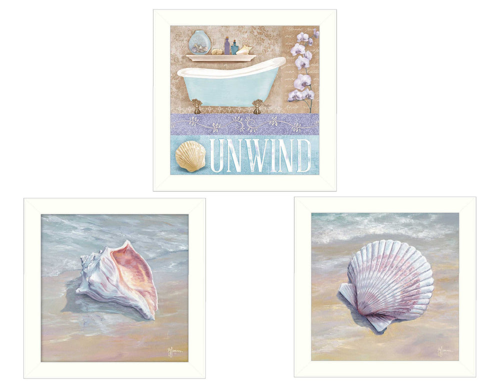 English Elm "shells Ii" 3-piece Triptych Framed Coastal Wall Art Set Ready to Hang White B06786811