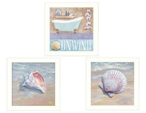 English Elm "shells Ii" 3-piece Triptych Framed Coastal Wall Art Set Ready to Hang White B06786811