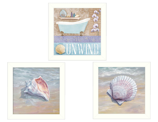 English Elm "shells Ii" 3-piece Triptych Framed Coastal Wall Art Set Ready to Hang White B06786811