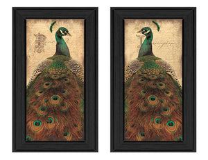 English Elm "peacock" 2-piece Framed Poster Set by John Jones Bold Bird Art for Living Rooms B06786818