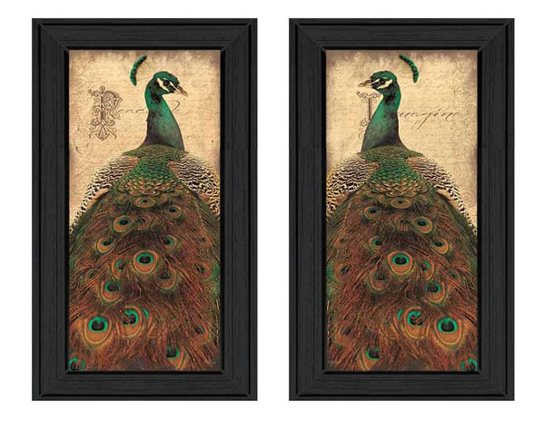 English Elm "peacock" 2-piece Framed Poster Set by John Jones Bold Bird Art for Living Rooms B06786818