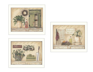 English Elm "garden Bath Collection" Botanical Framed Poster Set Three Panels Spa Inspired Wall Art B06786821