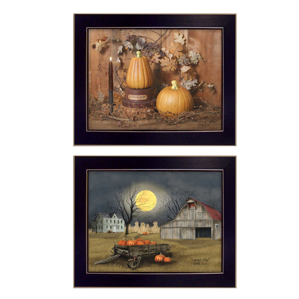 English Elm "pumpkin Space Harvest" Billy Jacobs 2-panel Framed Art Rustic Farmhouse Wall Decor B06786900