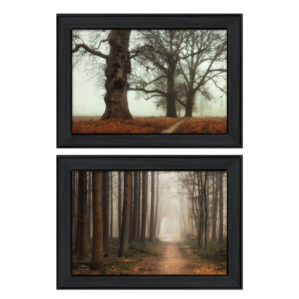 English Elm "misty Trees" Martin Podt Two Piece Framed Nature Art Set for Gallery Walls B06786939