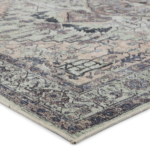 Jaipur Living Vibe by Jaipur Living Abbott Flatweave Runner Rug Distressed Medallion Floral Hallway Accent 9'2" x 12' RUG155393