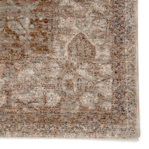 Jaipur Living Jaipur Living Valentia Distressed Medallion Rug Polyester Viscose Warm Terracotta 8' x 10' RUG146692