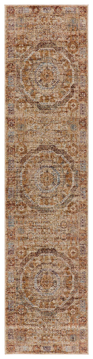 Jaipur Living Jaipur Living Arcadia Persian Medallion Runner Rug Distressed High-low Pile Hallway Rust/Blue RUG151341
