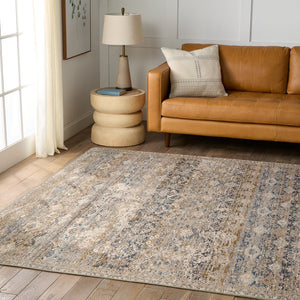 Jaipur Living Valentia Skylark Vln22 Powerloomed Machinemade 70% Polyester 30% Viscose Traditional Trellis Indoor Rug Cream, Blue 70% Polyester 30% Viscose Rug155031