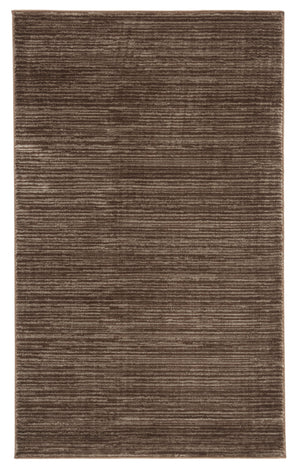 Safavieh Vision Solid Brown Area Rug — Low-Profile 1/2" Pile, Durable Poly Blend, Turkish Power-Loomed Quality 7'-0" x 10'-0" VSN606E-7