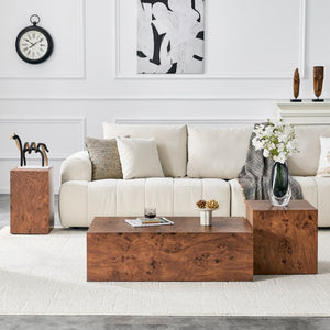 English Elm Premium Burl Walnut Veneer Low Profile Cube Coffee Table for Modern Living Spaces W1151P454440
