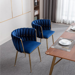 English Elm Modern Glam Velvet Dining Chairs with Gold Legs Lumbar Support Formal Set of 2 W1249P481771