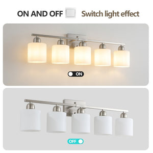 English Elm Brushed Nickel Five Globe Vanity Light with Frosted Glass Shades for Modern Bathrooms Chrome W1340P310794