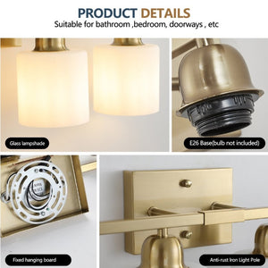 English Elm Brushed Nickel Five Globe Vanity Light with Frosted Glass Shades for Modern Bathrooms Gold W1340P310799