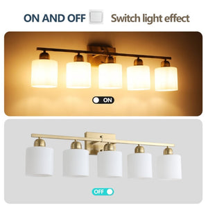 English Elm Brushed Nickel Five Globe Vanity Light with Frosted Glass Shades for Modern Bathrooms Gold W1340P310799