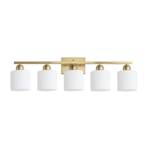 English Elm Brushed Nickel Five Globe Vanity Light with Frosted Glass Shades for Modern Bathrooms Gold W1340P310799