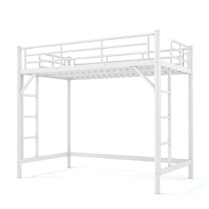 English Elm Twin XL Metal Loft Bed with Guardrails and Dual Ladders for Dorm or Teen Room W1580P455014