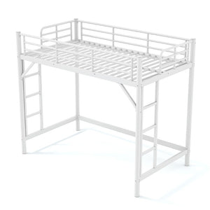 English Elm Twin XL Metal Loft Bed with Guardrails and Dual Ladders for Dorm or Teen Room W1580P455014